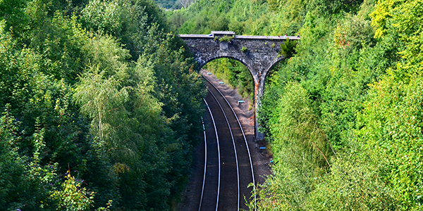 track-record-promo-600x300-high-bridge-over-track-in-forest-sustainability