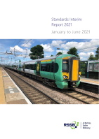 Standards Interim Report 2021